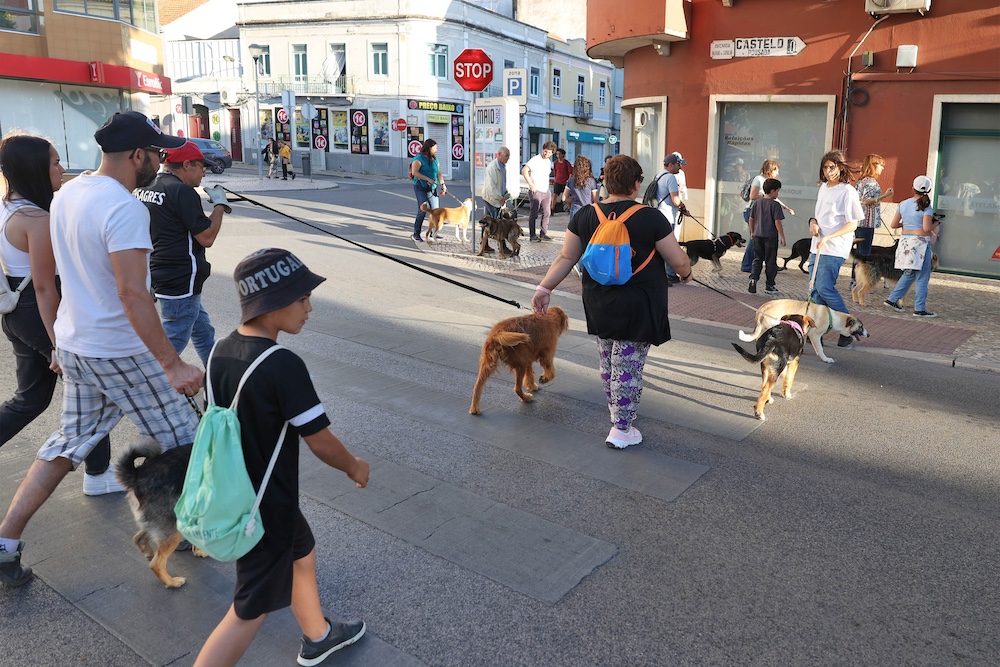 Jornadas de Ambiente | Caminhada com cães