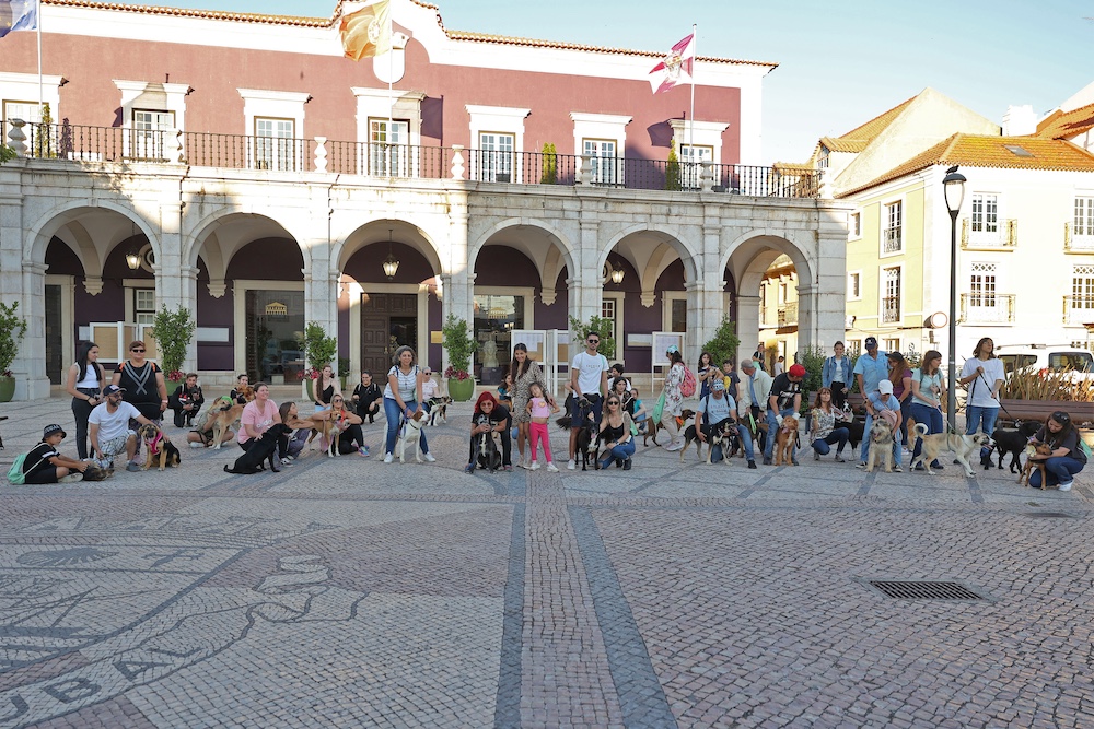 Jornadas de Ambiente | Caminhada com cães