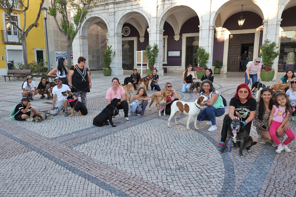 Jornadas de Ambiente | Caminhada com cães