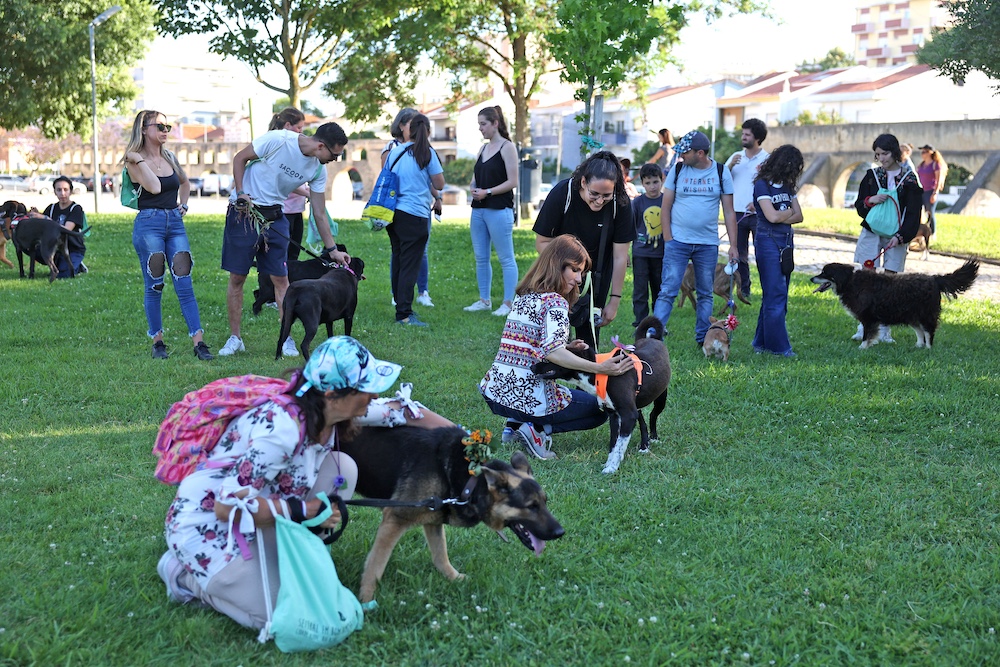 Jornadas de Ambiente | Caminhada com cães
