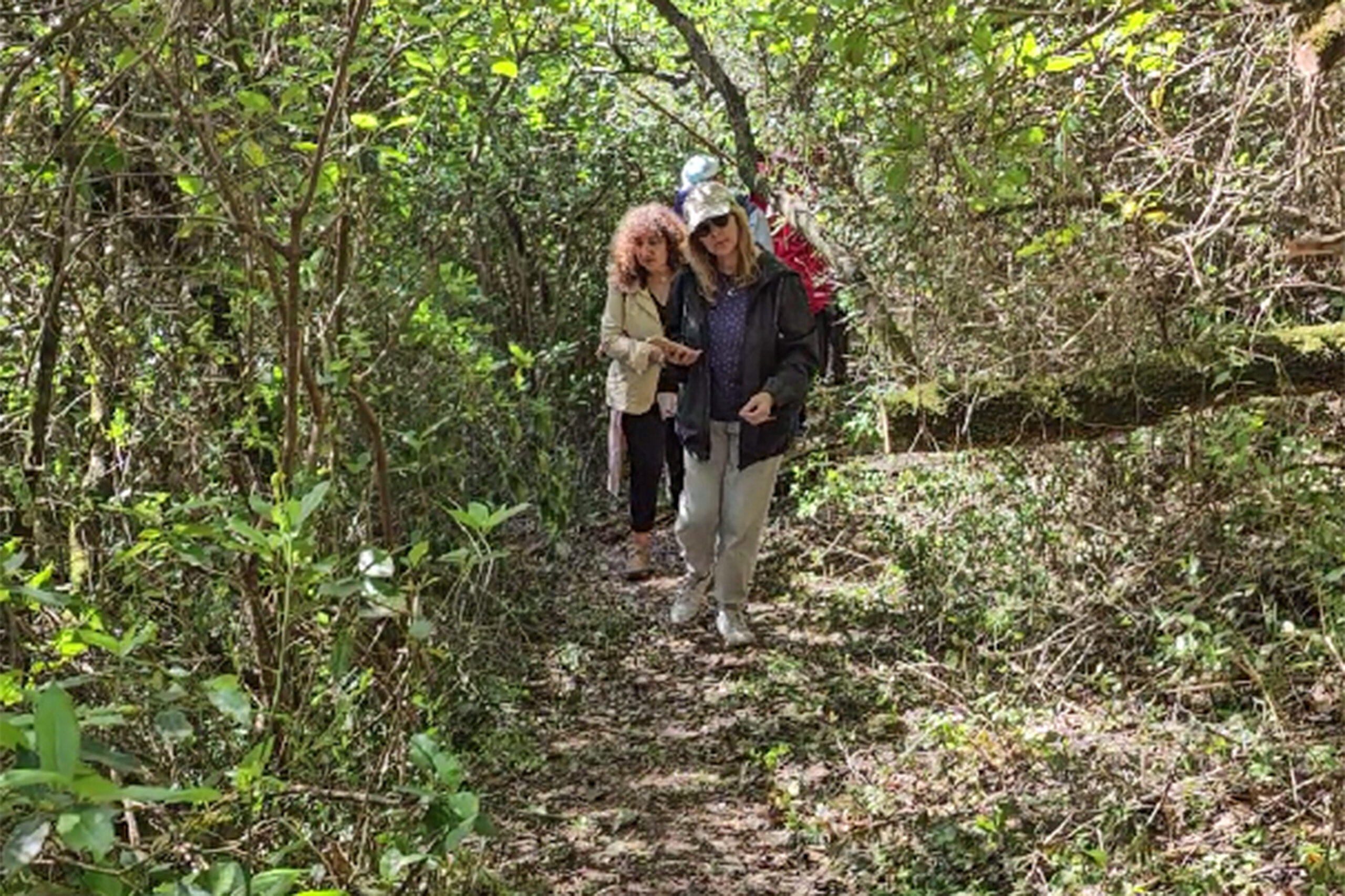 Jornadas de Ambiente - Festival de Caminhadas - Em busca da pérola da Arrábida
