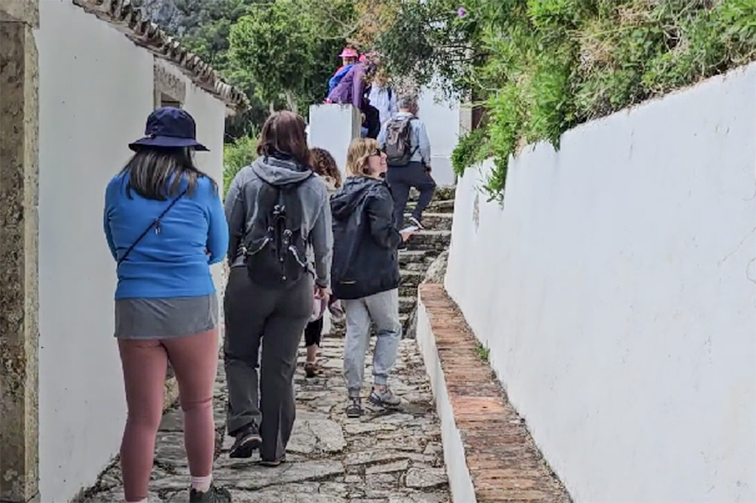 Jornadas de Ambiente - Festival de Caminhadas - Em busca da pérola da Arrábida