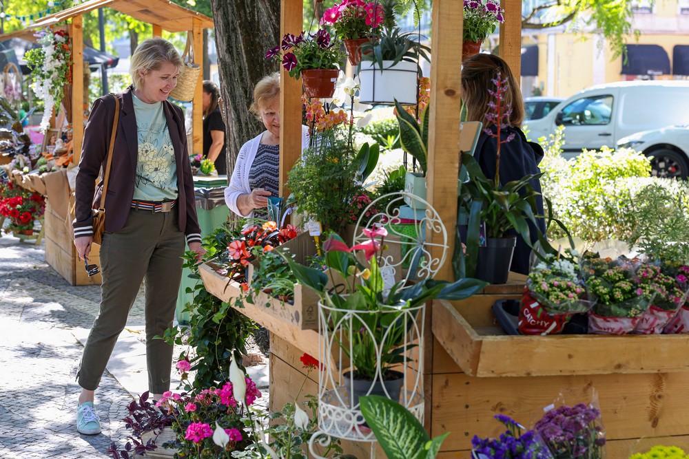 A Avenida Luísa Todi esteve com mais encanto com a Festa da Flor