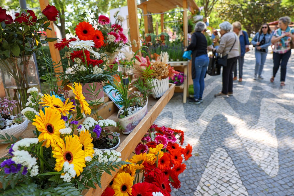 A Avenida Luísa Todi esteve com mais encanto com a Festa da Flor