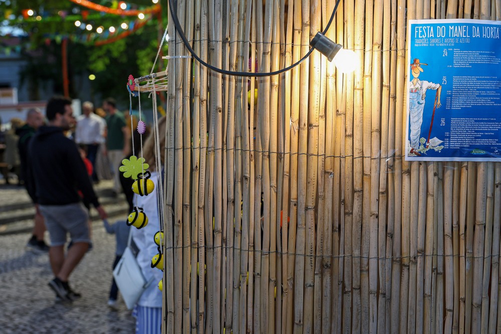 Festa do Manel da Horta – Tradições, Sabores e Aromas de Azeitão