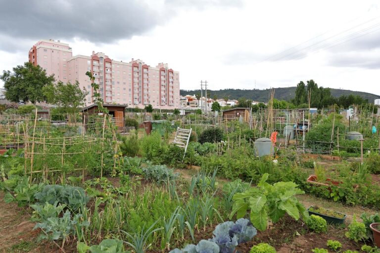 Jornadas de Ambiente de Setúbal -@agentes do Ambiente - “@gente de p(h)orta aberta”