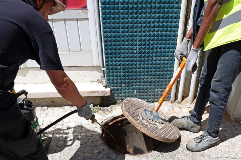 Desbaratizações | campanha de verão