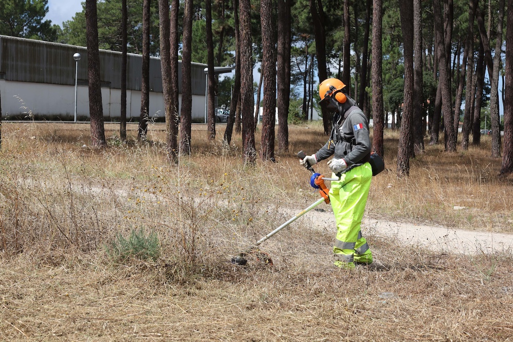 Desmatações_Pinhal_Negreiros_2024_2