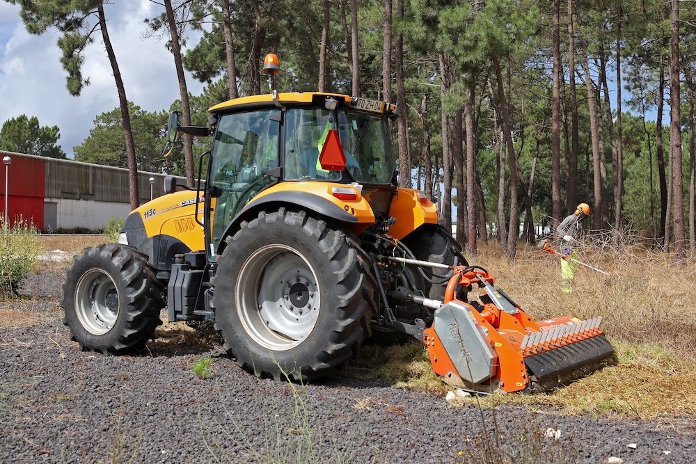 Desmatações_Pinhal_Negreiros_2024_3