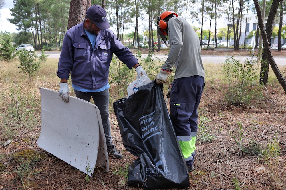 Desmatações_Pinhal_Negreiros_2024_5