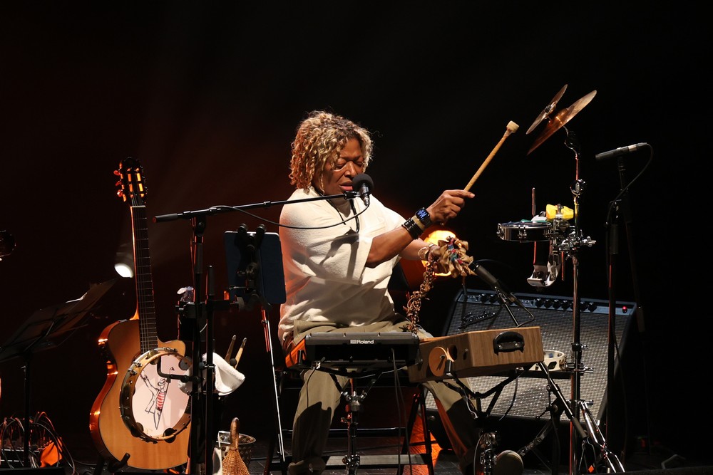 Mart'Nália no Festival Língua Terra