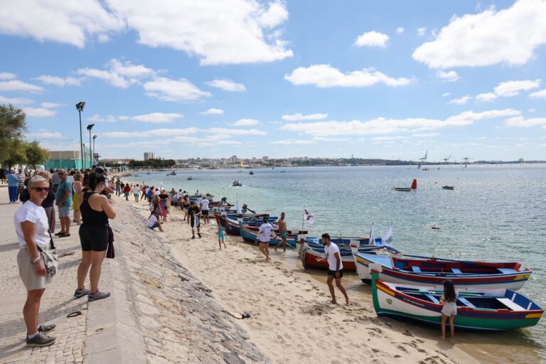 Regata de Botes a Remos