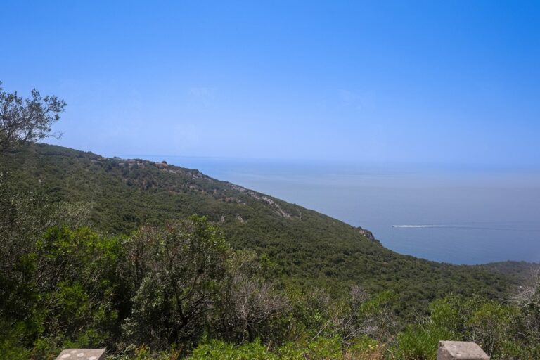 Executivo municipal viajou num autocarro da Carris Metropolitana entre Setúbal e o Creiro, para verificar como é feita a ligação às praias