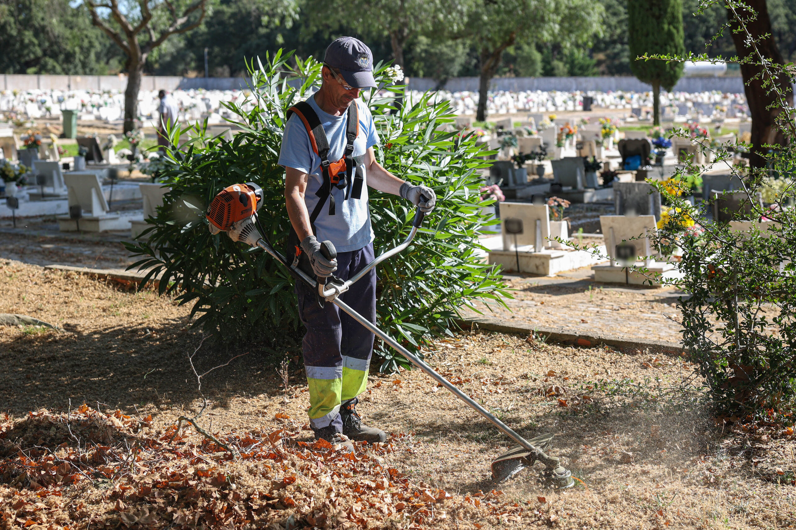 Limpeza e corte de ervas no Cemitério da Paz