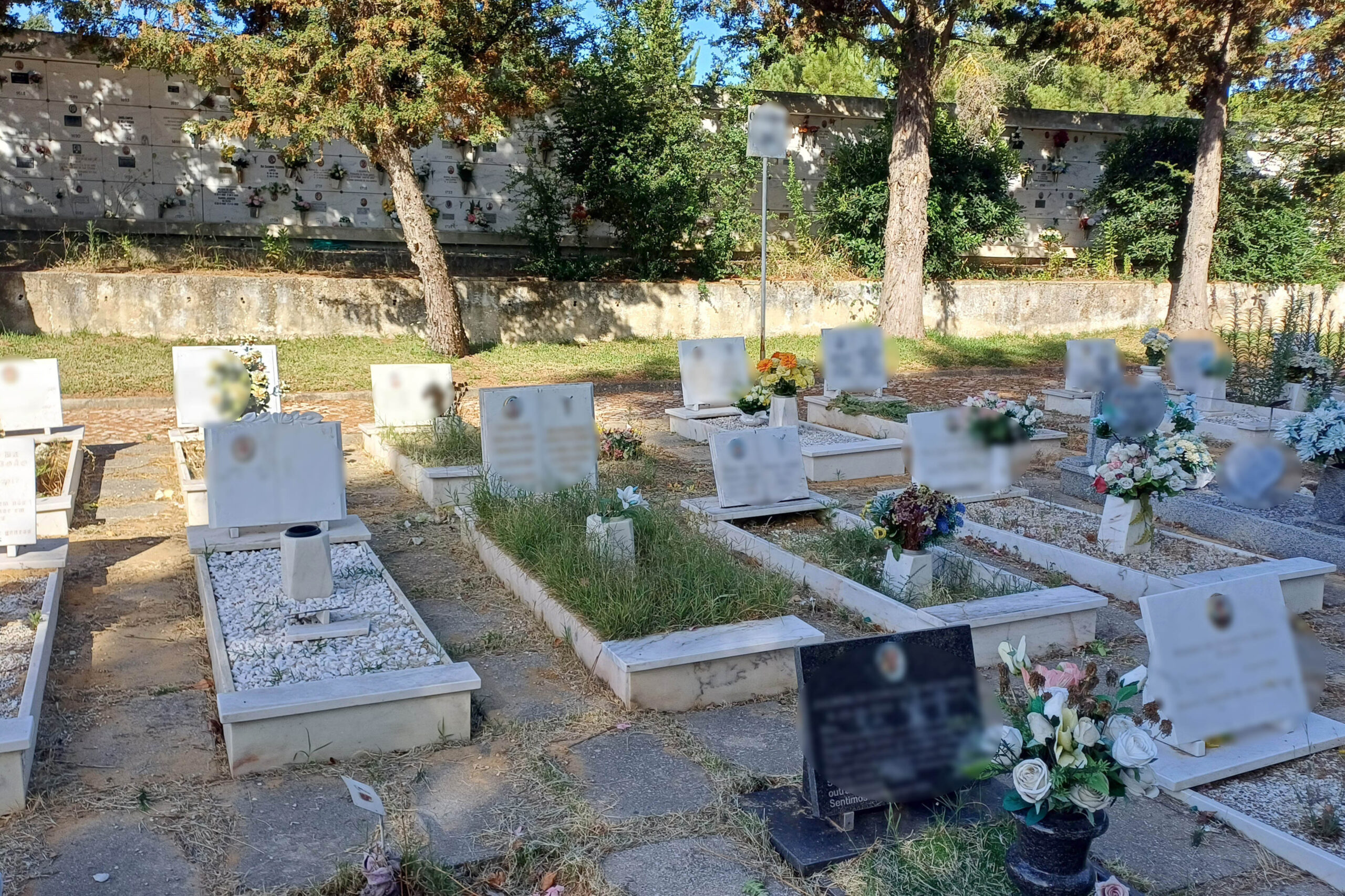 Limpeza e corte de ervas no Cemitério da Paz