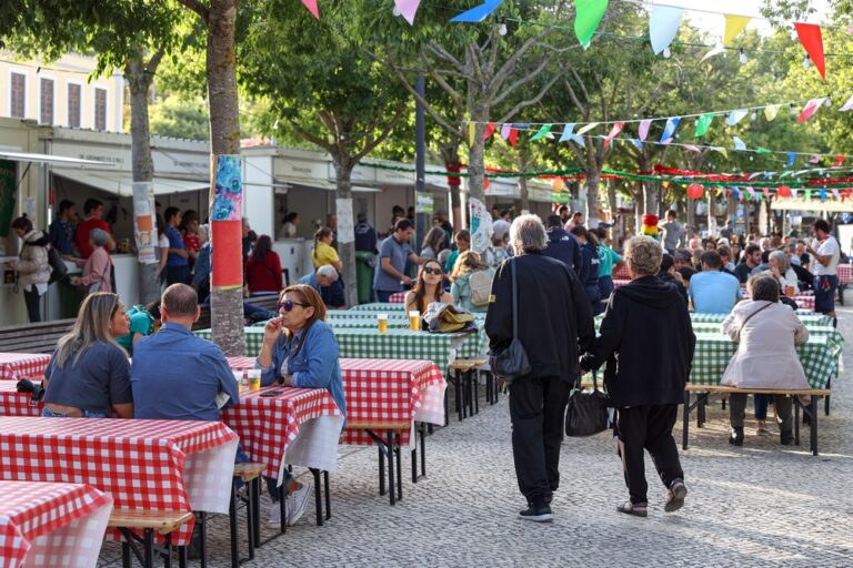 Fest'Asso | 10.ª edição