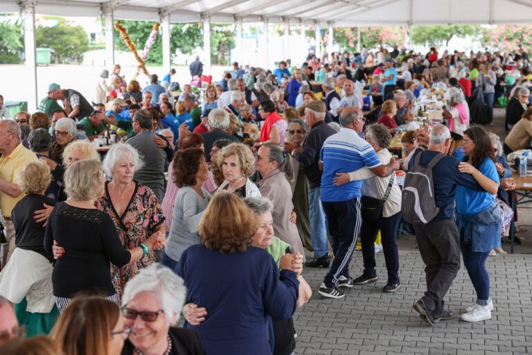 Piquenicão Concelhio no Mercado Mensal de Azeitão