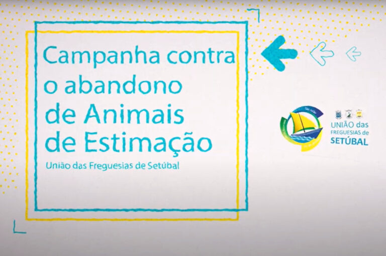 Campanha contra o abandono de animais de estimação