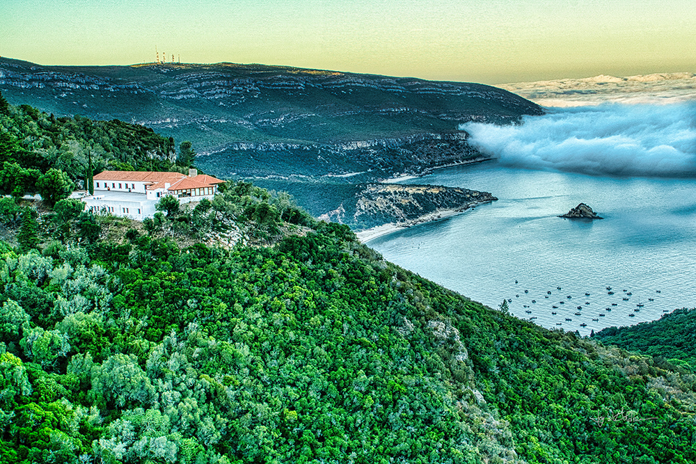 Joy Goldman | Concurso "Verde e Azul"