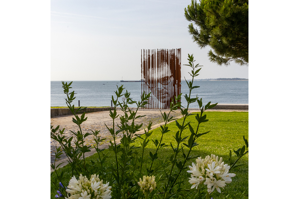 Pajodima | Concurso "Verde e Azul"