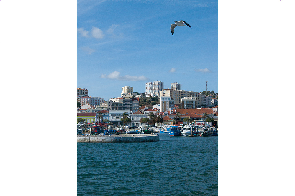 David Dores | Concurso "Verde e Azul"