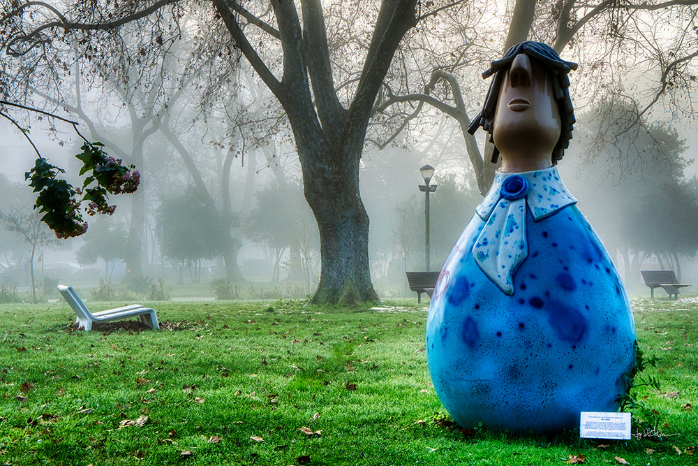 Joy Goldman | Concurso "Verde e Azul"