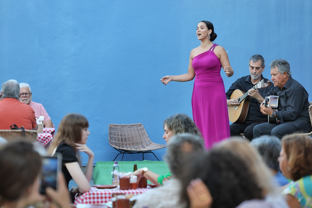 A Mercearia Vem às Baía - 8 de agosto 2024