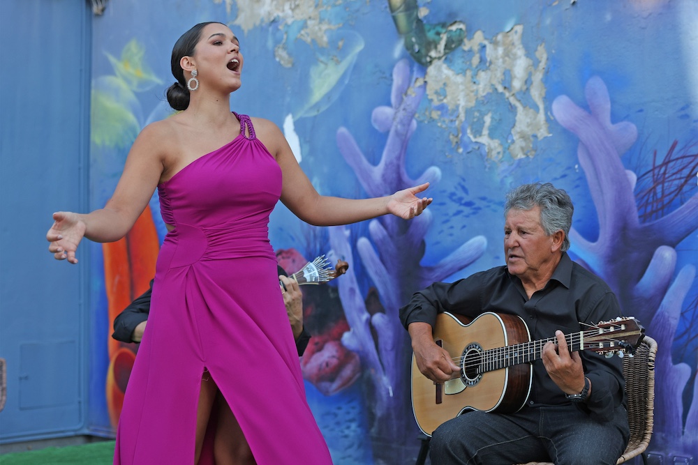 A Mercearia Vem às Baía - 8 de agosto 2024