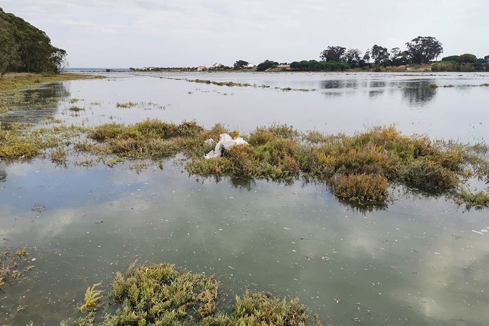 Inundação estuarina - Estrada de Santo Ovídeo
