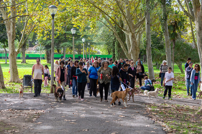 Dia do Animal | Cãominhada