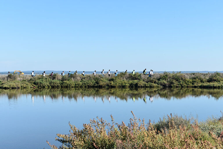 Escola Profissional realiza atividades de educação ambiental na Herdade da Mourisca com a Escola Profissional