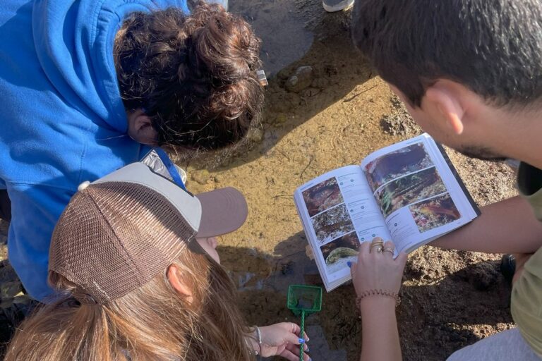 Kids Dive Goes Wild - Saída de campo Praia de Albarquel