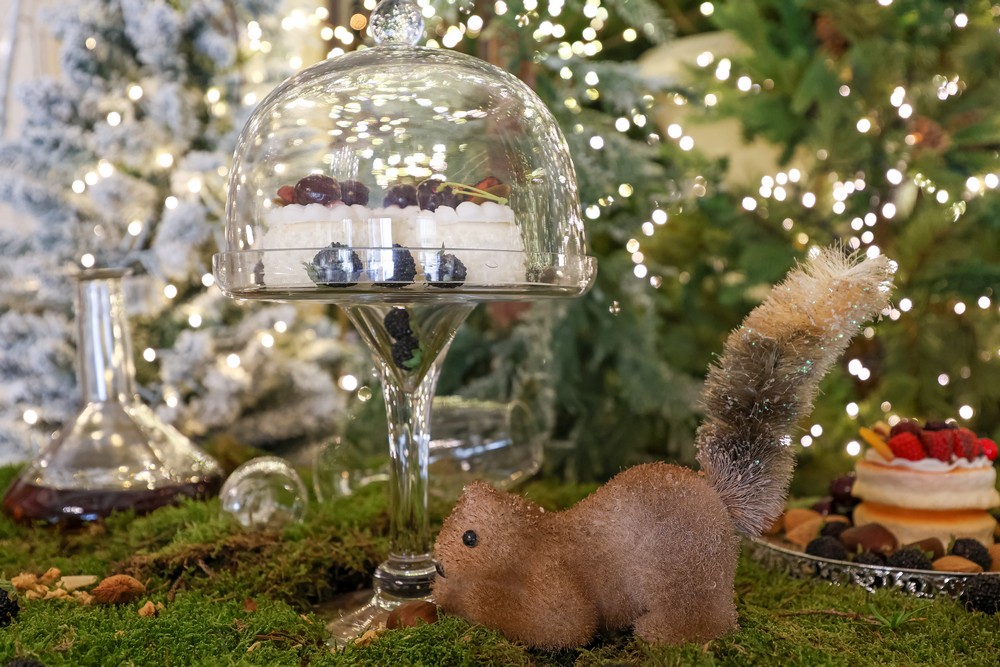 Decoração de Natal nos Paços do Concelho celebra a Natureza