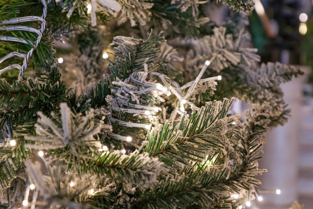 Decoração de Natal nos Paços do Concelho celebra a Natureza