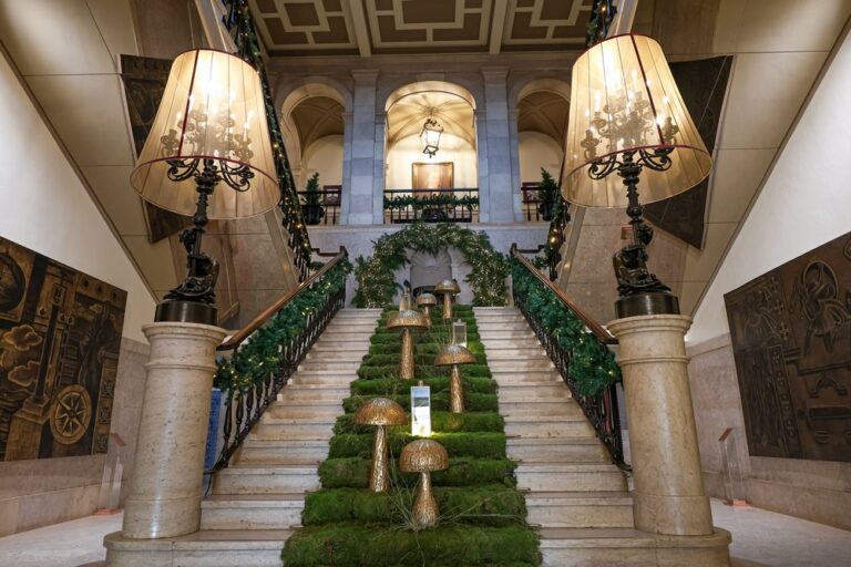 Decoração de Natal nos Paços do Concelho celebra a Natureza