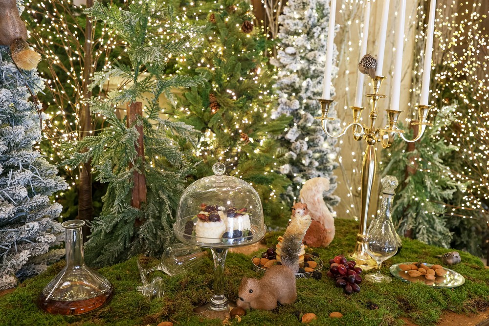 Decoração de Natal nos Paços do Concelho celebra a Natureza