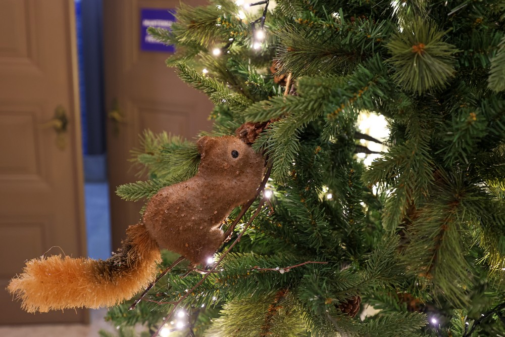 Decoração de Natal nos Paços do Concelho celebra a Natureza
