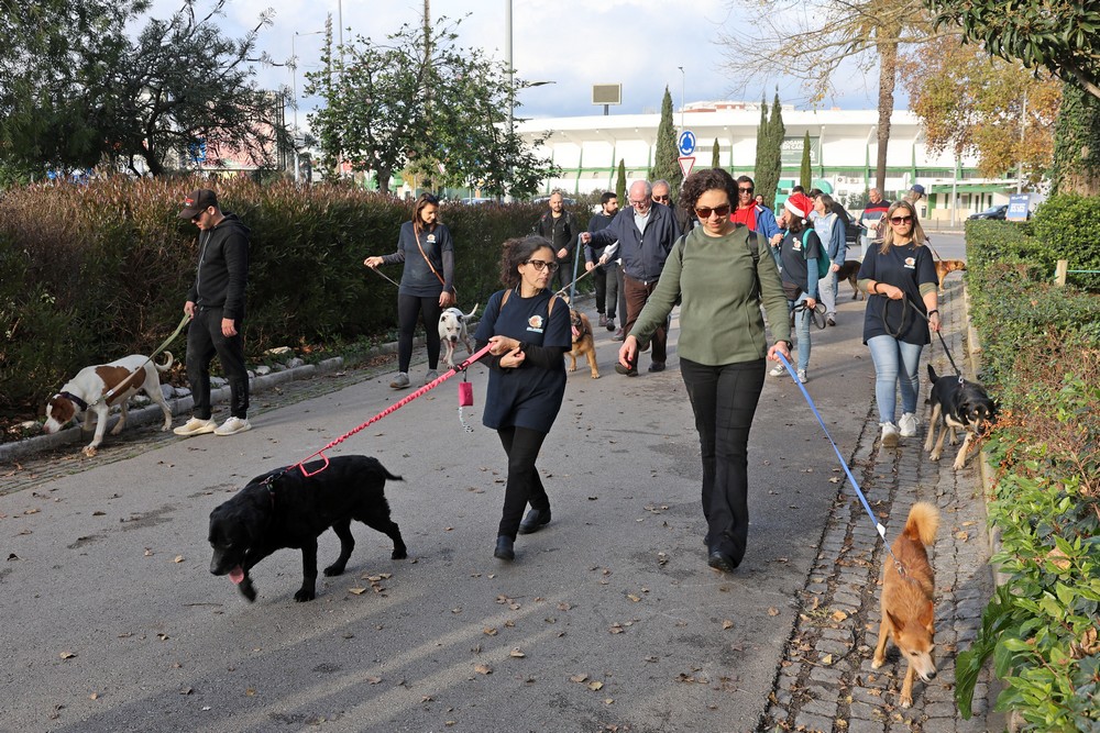 Cãominhada de Natal CROAC – Centro de Recolha Oficial de Animais de Companhia do Município de Setúbal