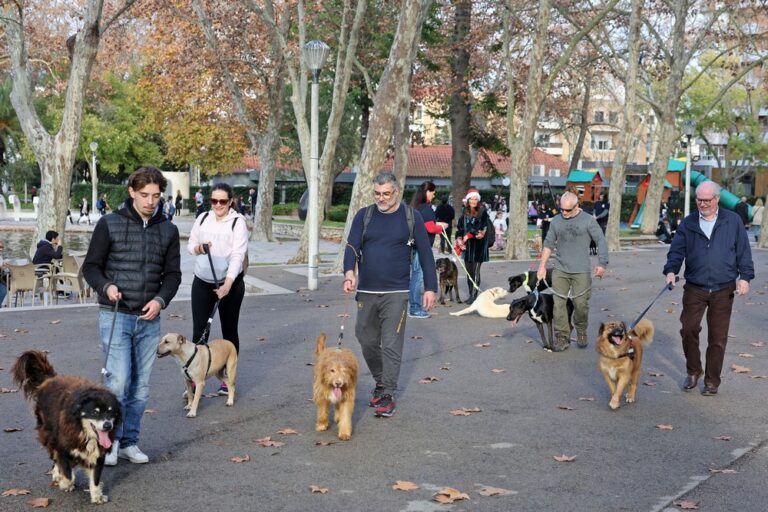 Cãominhada de Natal CROAC – Centro de Recolha Oficial de Animais de Companhia do Município de Setúbal - Presidente da Câmara, André Martins, passeou o "Tijolo"