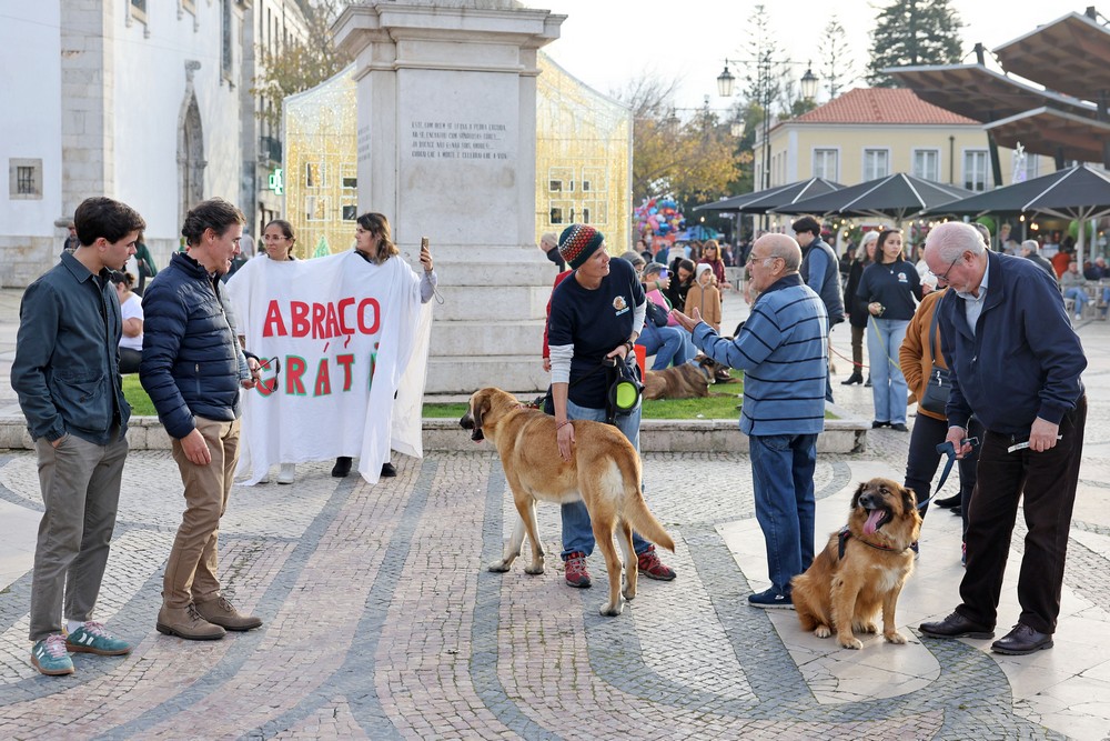Cãominhada de Natal CROAC – Centro de Recolha Oficial de Animais de Companhia do Município de Setúbal - Presidente da Câmara, André Martins, passeou o "Tijolo"