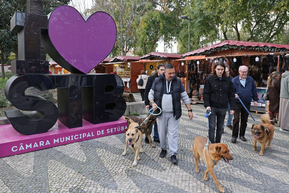 Cãominhada de Natal CROAC – Centro de Recolha Oficial de Animais de Companhia do Município de Setúbal - Presidente da Câmara, André Martins, passeou o "Tijolo"