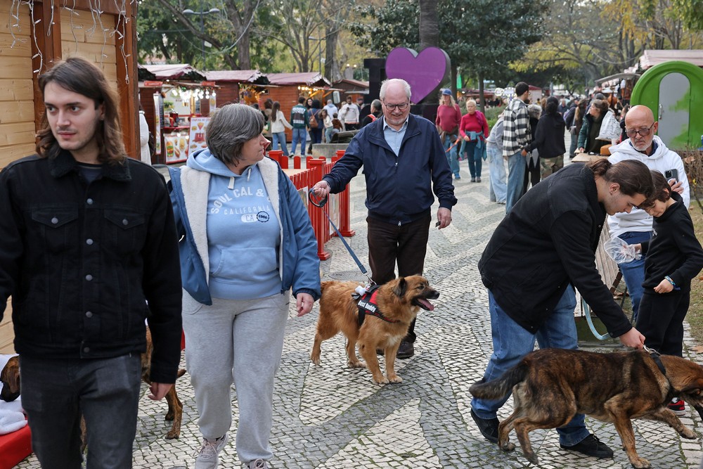 Cãominhada de Natal CROAC – Centro de Recolha Oficial de Animais de Companhia do Município de Setúbal - Presidente da Câmara, André Martins, passeou o "Tijolo"