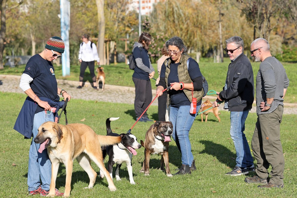 Cãominhada de Natal CROAC – Centro de Recolha Oficial de Animais de Companhia do Município de Setúbal
