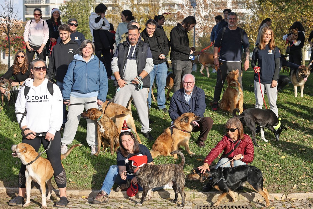 Cãominhada de Natal CROAC – Centro de Recolha Oficial de Animais de Companhia do Município de Setúbal