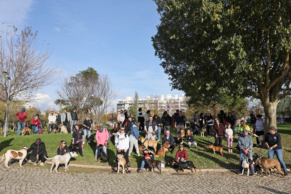 Cãominhada de Natal CROAC – Centro de Recolha Oficial de Animais de Companhia do Município de Setúbal
