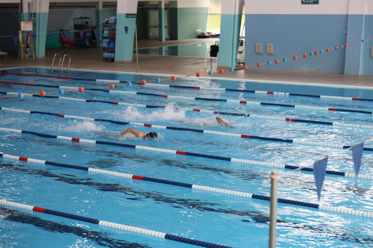 Festival de Natação - Piscina das Palmeiras