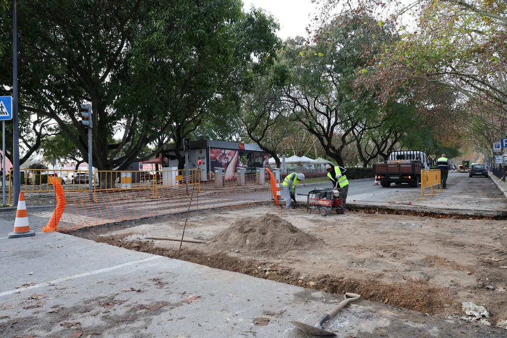 Reabilitação de 50 passadeiras em pedra no centro histórico- Avenida Luísa Todi, em frente da Casa da Baía