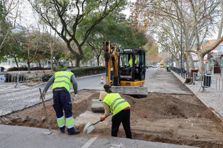 Reabilitação de 50 passadeiras em pedra no centro histórico- Avenida Luísa Todi, em frente da Casa da Baía