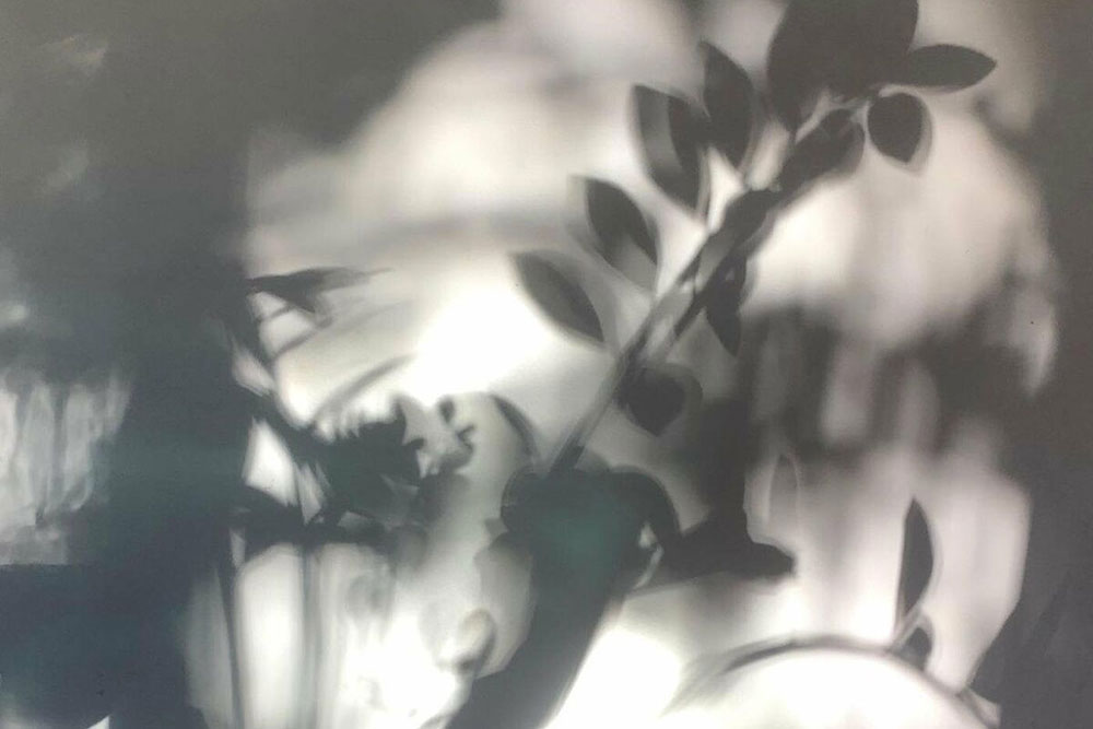 George Dimitriu | Círculo de Jazz Fest