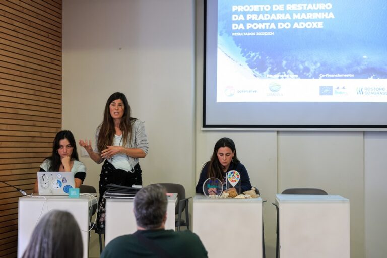 Apresentação dos resultados das atividades desenvolvidas pela Ocean Alive em 2024